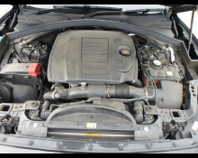 Jaguar Jaguar Others 2019