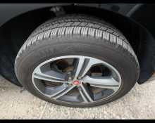 Jaguar Jaguar Others 2019