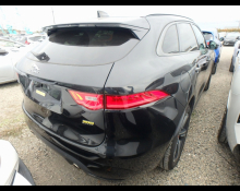 Jaguar Jaguar Others 2019