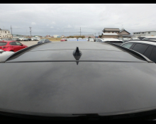 Jaguar Jaguar Others 2019