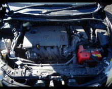 Toyota Corolla Fielder 2010