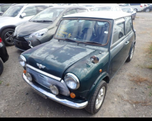 Rover Mini 1993