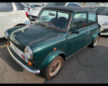 Rover Mini 1995