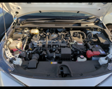 Toyota Corolla Sports 2019