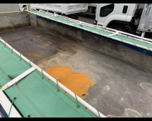 Isuzu Elf Truck 2011