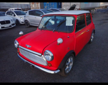Rover Mini 1995