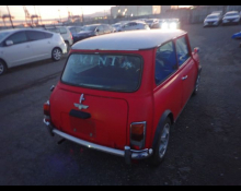 Rover Mini 1995