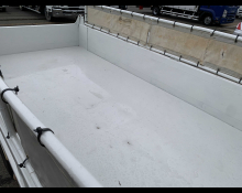 Isuzu Elf Truck 2008