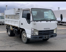Isuzu Elf Truck 2008