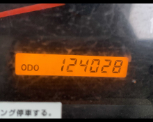 Isuzu Elf Truck 2008