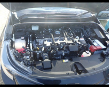 Toyota Corolla Sports 2019