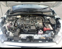 Toyota Corolla Cross 2021