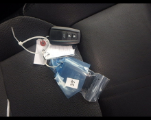 Toyota Corolla Cross 2021