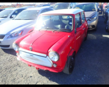 Rover Mini 1991