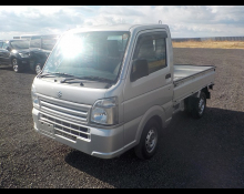 Suzuki Carry Truck 2013