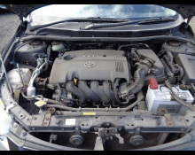 Toyota Corolla Fielder 2010