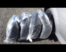 Toyota Corolla Fielder 2016