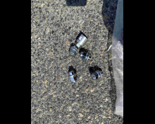 Toyota Crown Athlete 2015