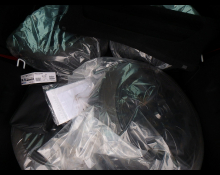 Renault Lutecia 2019