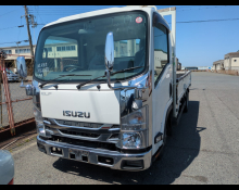 Isuzu Elf Truck 2018