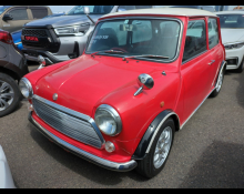 Rover Mini 1995