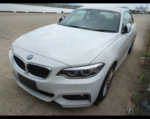 BMW 2 series 2019