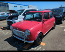 Rover Mini 1990