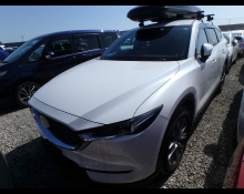 Mazda CX 8 2019
