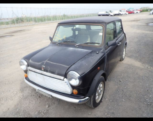 Rover Mini 1996
