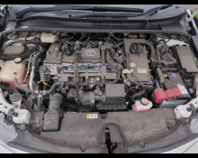 Toyota Corolla Sports 2019