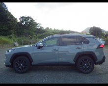 Toyota RAV4 2020