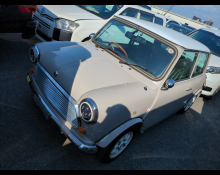 Rover Mini 1995