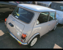 Rover Mini 1995