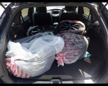 Toyota Corolla Fielder 2019