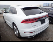 Audi Q8 2020