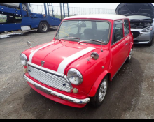 Rover Mini 1996