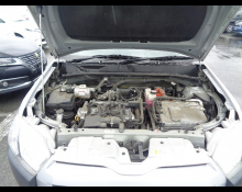 Toyota Succeed Van 2019