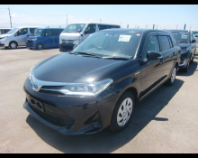 Toyota Corolla Fielder 2019