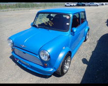 Rover Mini 1991