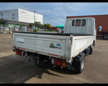 Isuzu Elf Truck 2018