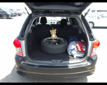 Toyota Corolla Fielder 2010