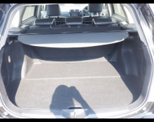 Toyota Corolla Fielder 2010