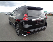 Toyota Land Cruiser Prado 2019