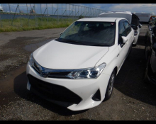 Toyota Corolla Axio 2020