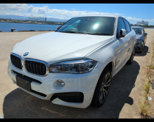BMW X6 2019