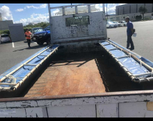 Isuzu Elf Truck 2008