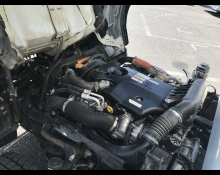 Isuzu Elf Truck 2008