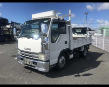 Isuzu Elf Truck 2008