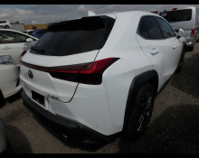 Lexus UX 2021