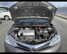 Toyota Corolla Axio 2019